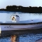 hull16.jpg