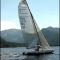 4755367217melges_sammd180_2.jpg