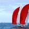 4_kites_stpete_225