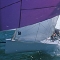 640purple_200